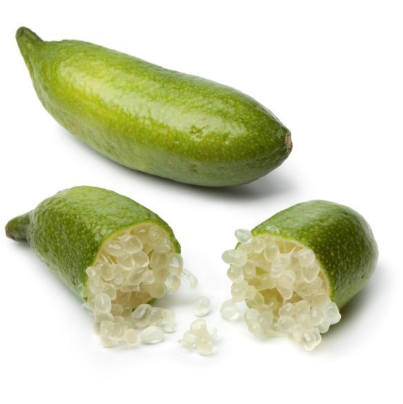 {Citrus - Finger lime Crystal}  Citrus australasica  Grafted