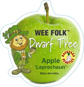 {Apple - Leprechaun tm PBR Dwarf (Granny Smith Dwarf)}  Malus domestica