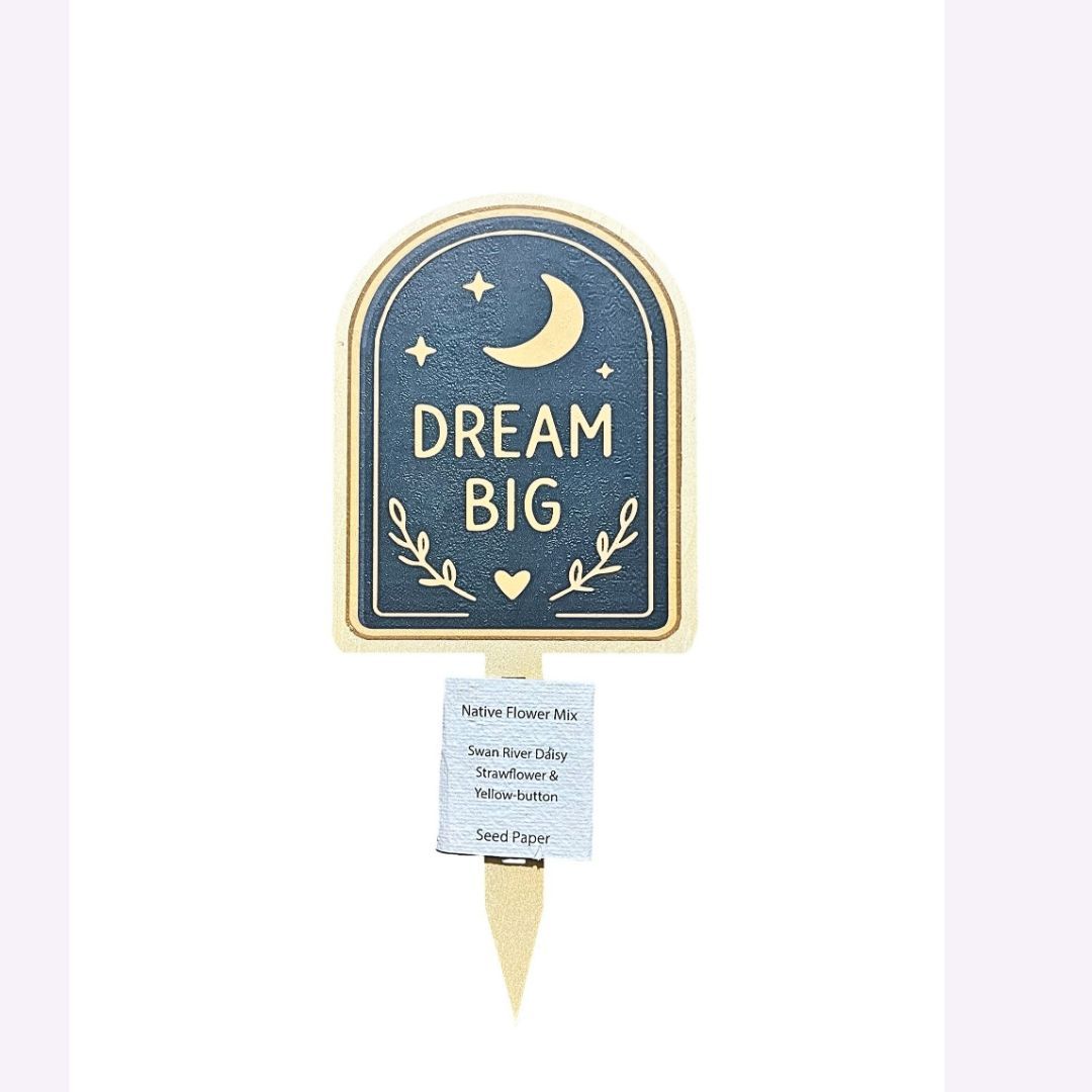 Bloom Notes - Dream Big with Native Flower Mix