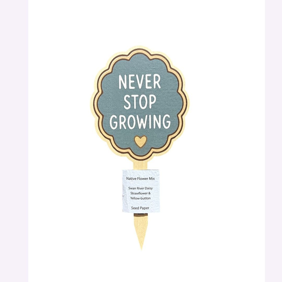 Bloom Notes - Never Stop Growing with Native Flower Mix