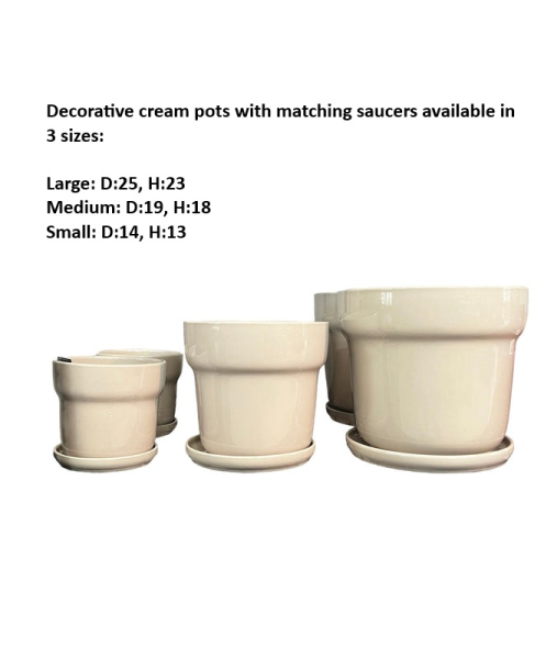 Akira Collar Pot Mushroom Small