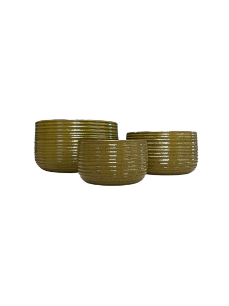 Auburn Bowl Olive Small