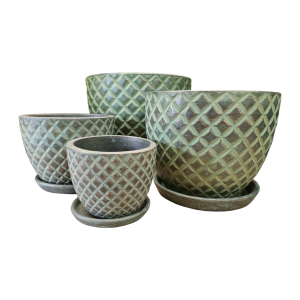 Bahamas Pot Green Large