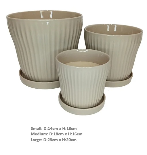Akira Banded Pot Mushroom Large