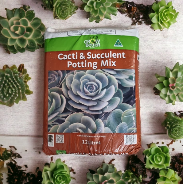 Cacti & Succulent Potting Mix - 12L