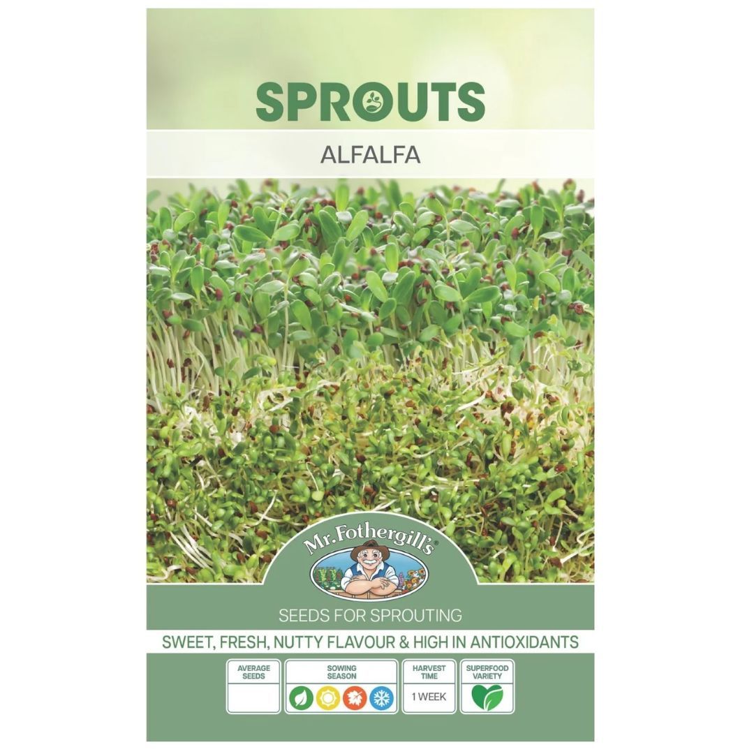 Alfalfa Sprouts 35g