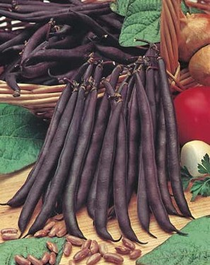 Bean Climbing Purple King Seeds