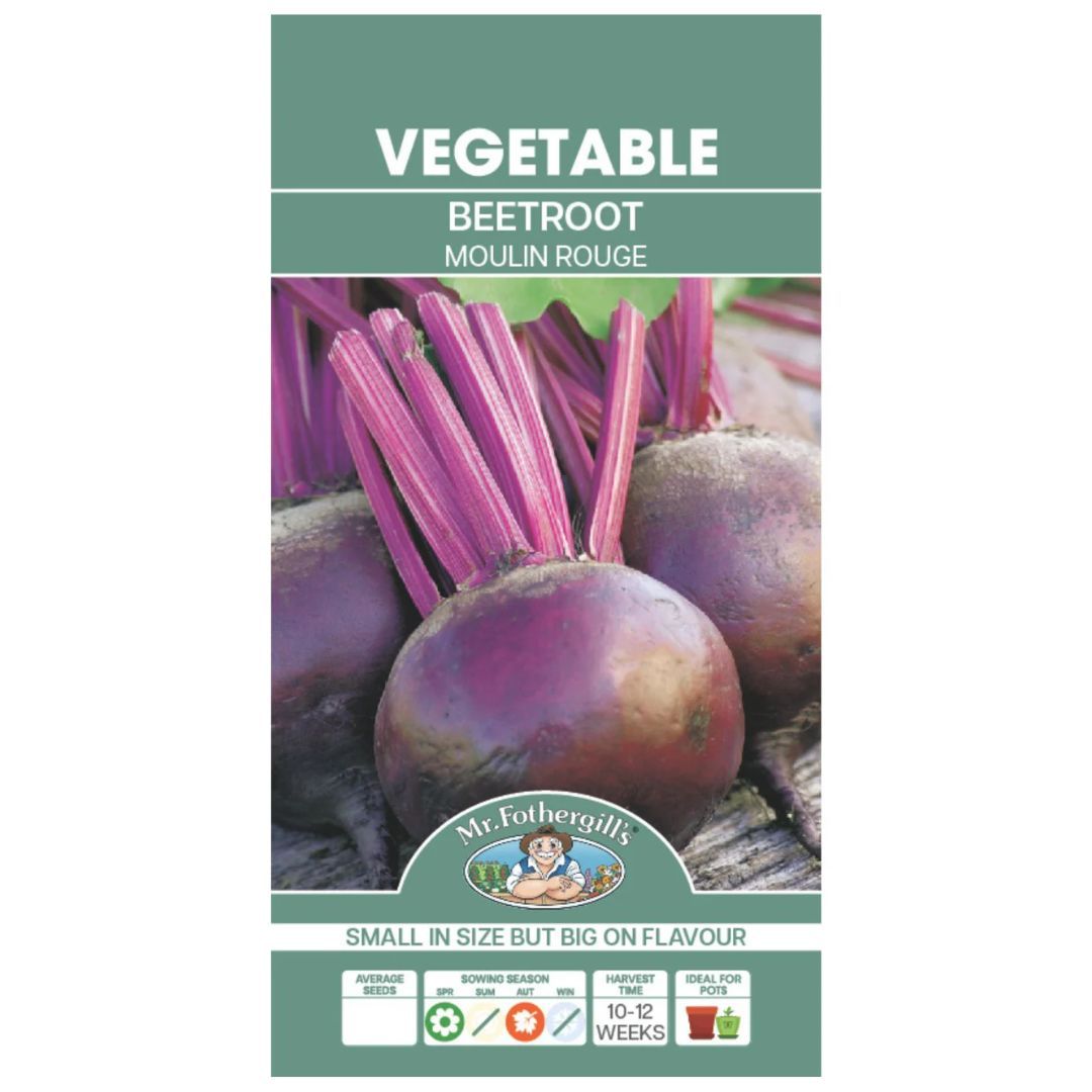 Beetroot Moulin Rouge 150 Seeds