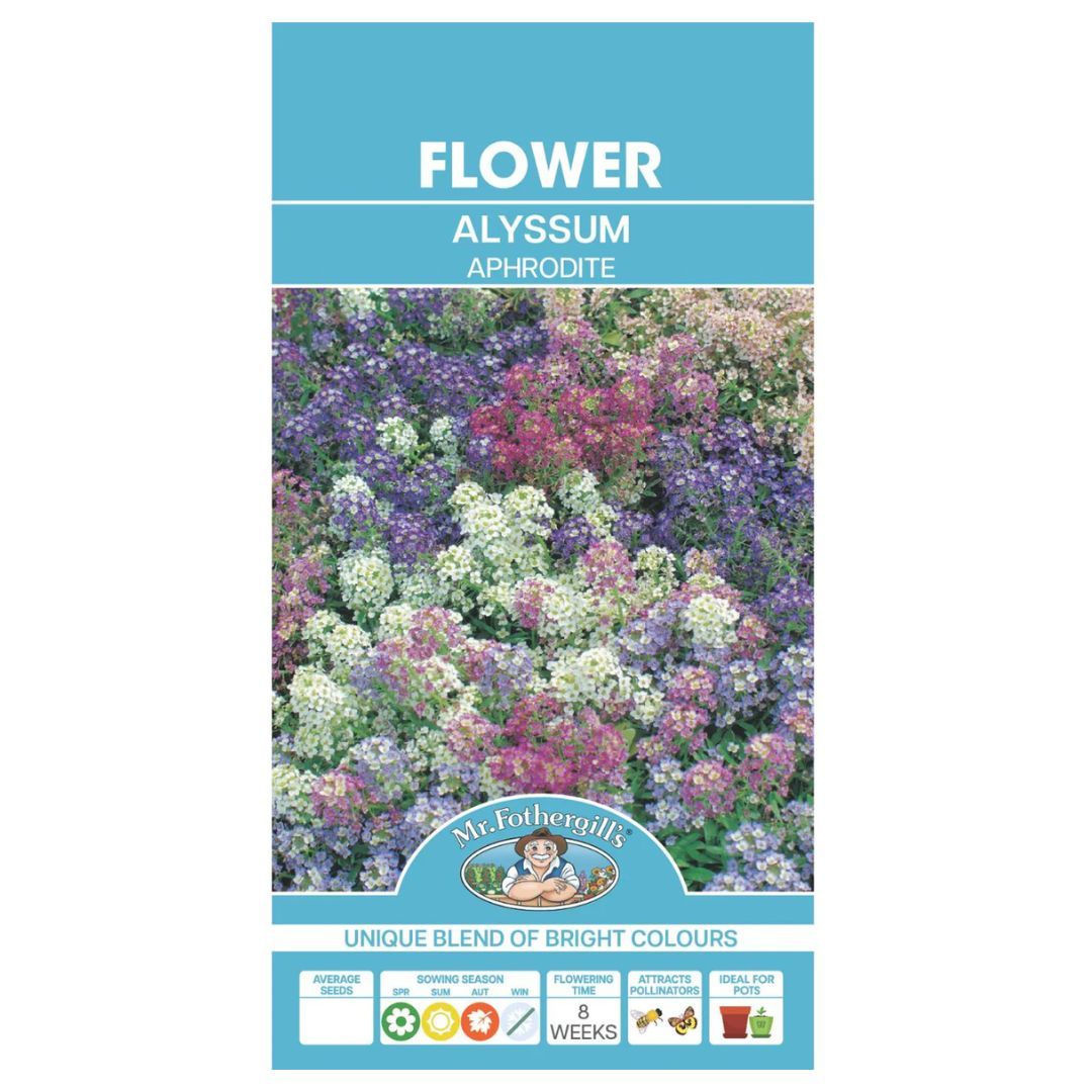 Alyssum Aphrodite 300 Seeds