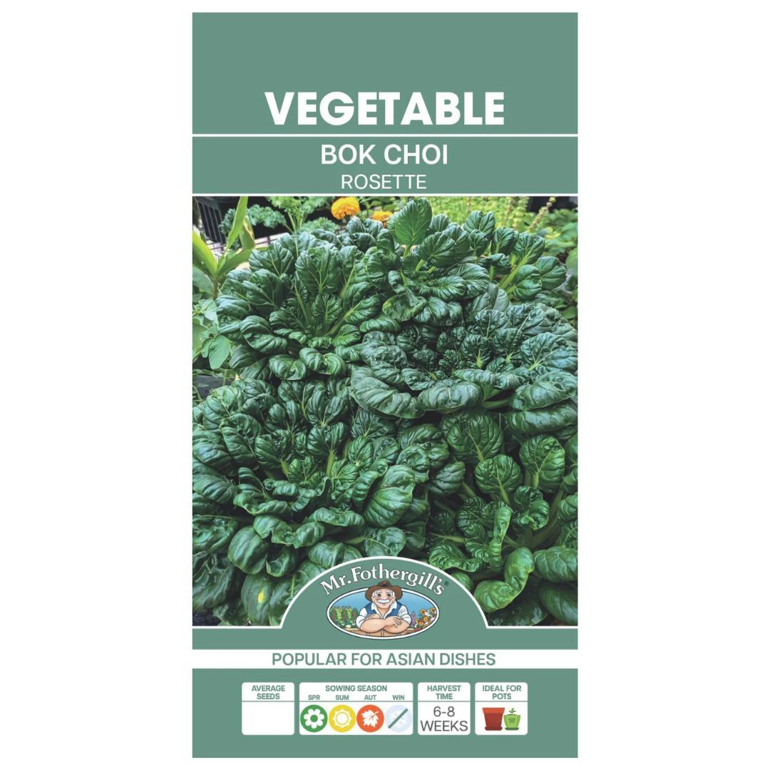 Bok Choi 500 Seeds