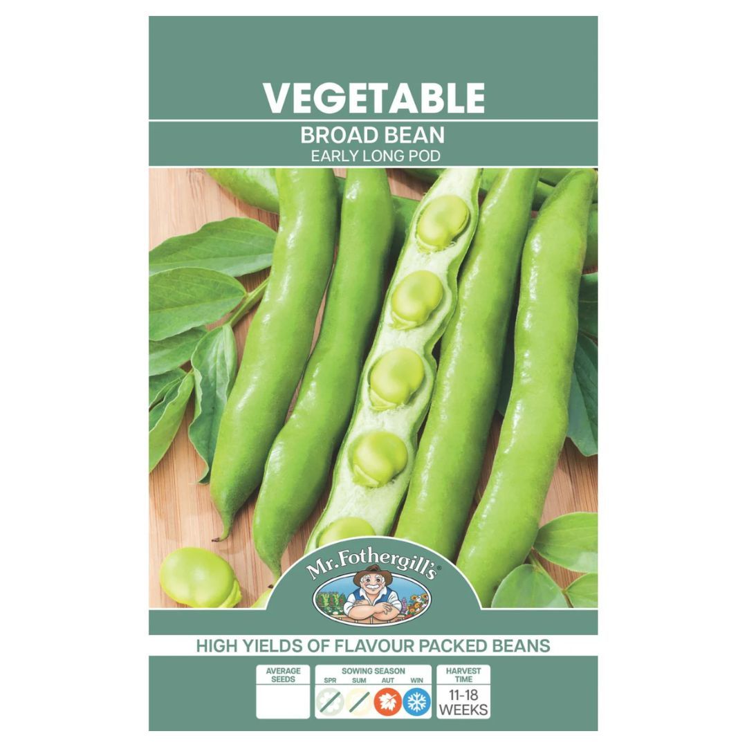 Broad Bean Early Long Pod 50g