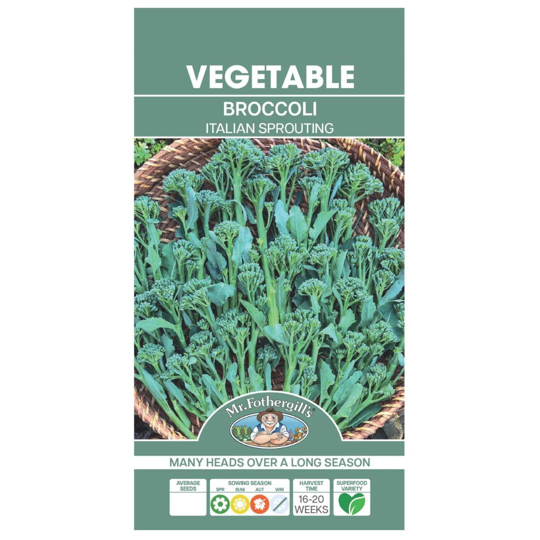Broccoli Italian Sprouting 500 Seeds