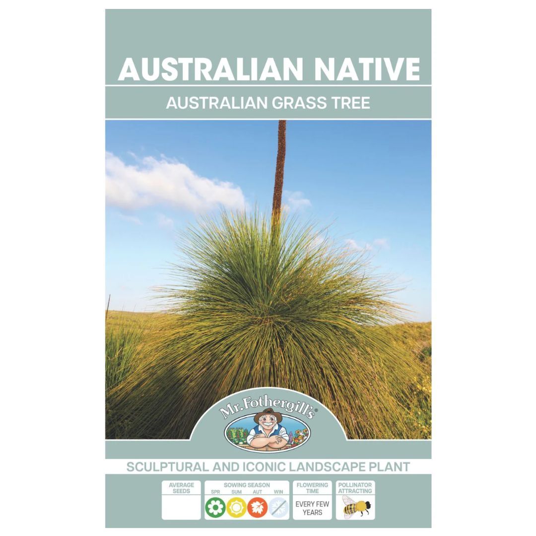 Australian Grass Tree Wildflower 35 Seeds