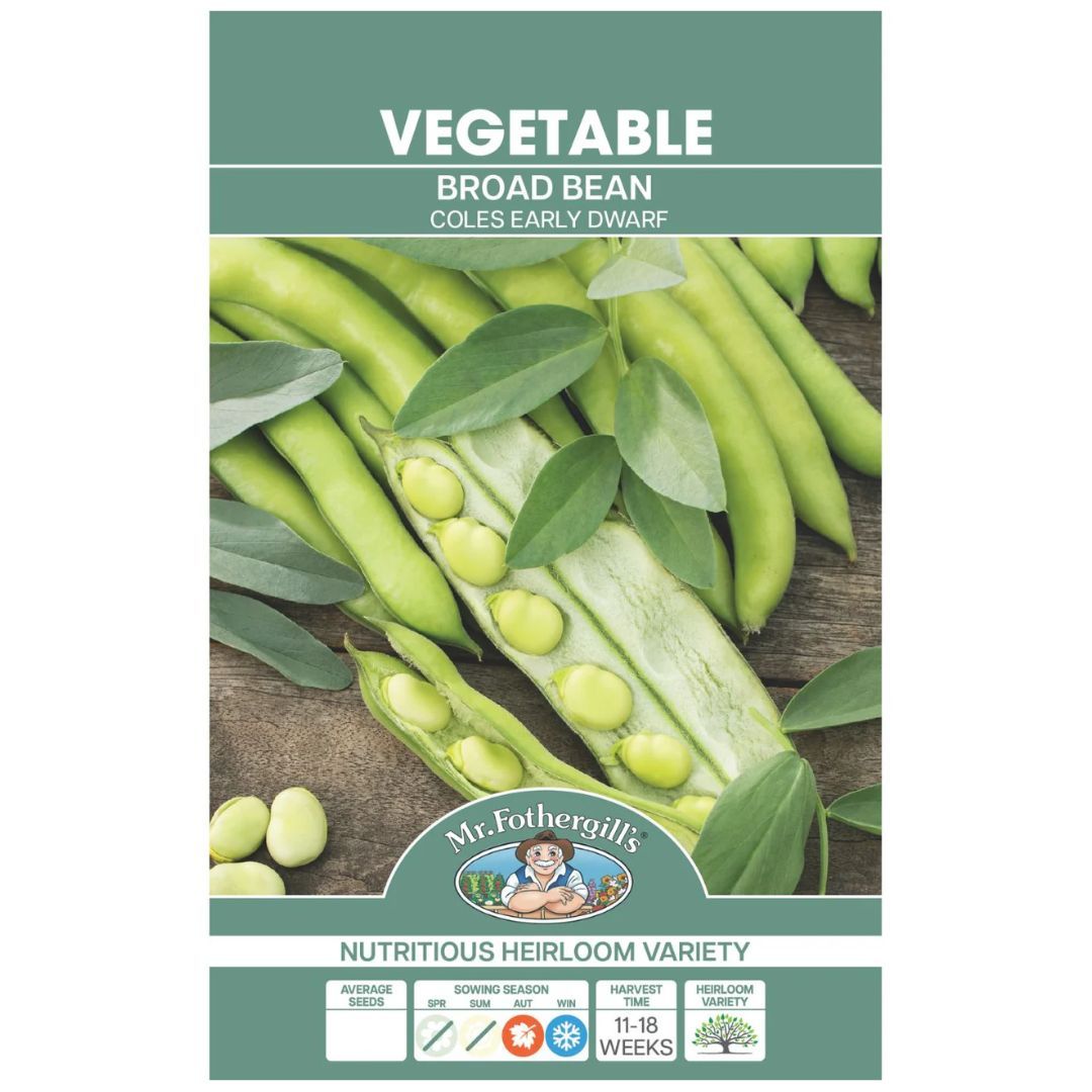 Broad Bean Dwarf Coles Early Seeds
