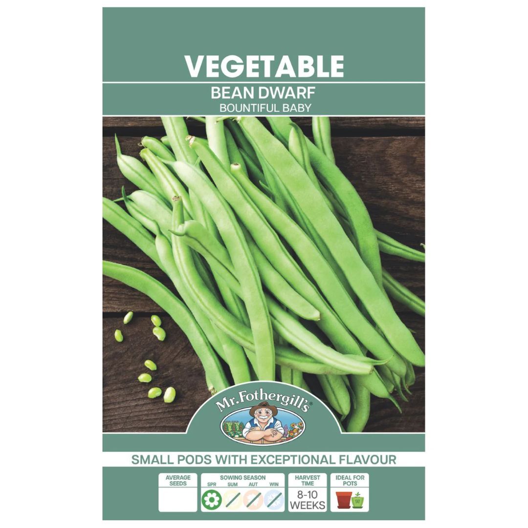 Bean Dwarf Bountiful Baby Seeds
