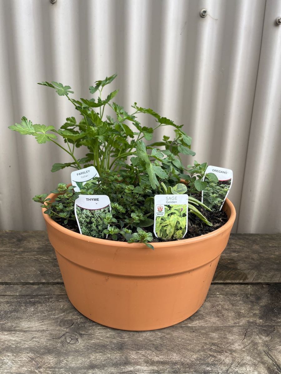 5 Herb Cottage Pot 300mm Large