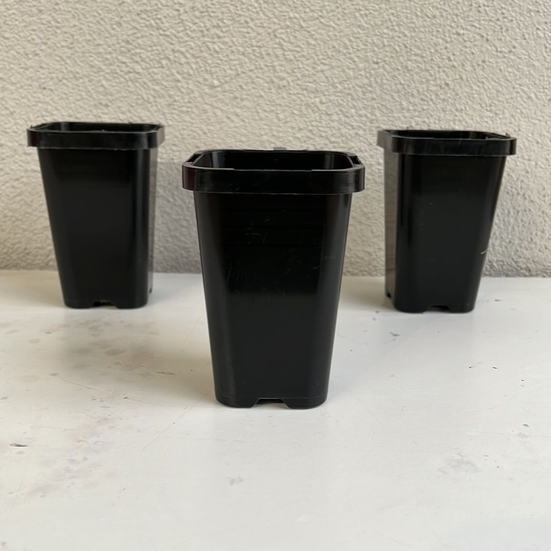 Black Tube 70mm
