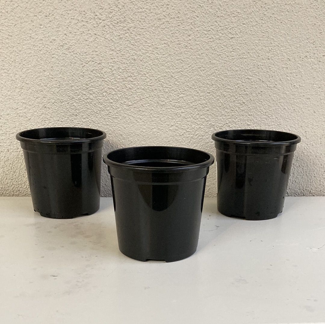 Black Pot 105mm