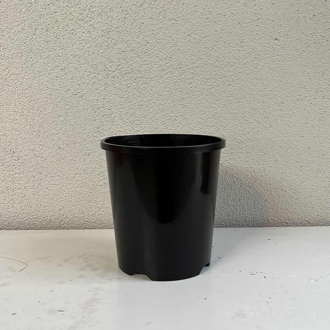 Black Pot 140mm