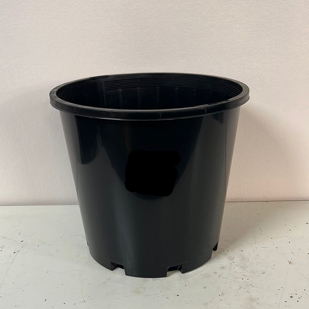 Black Pot 200mm
