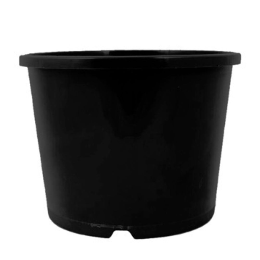 Black Pot 200mm Squat