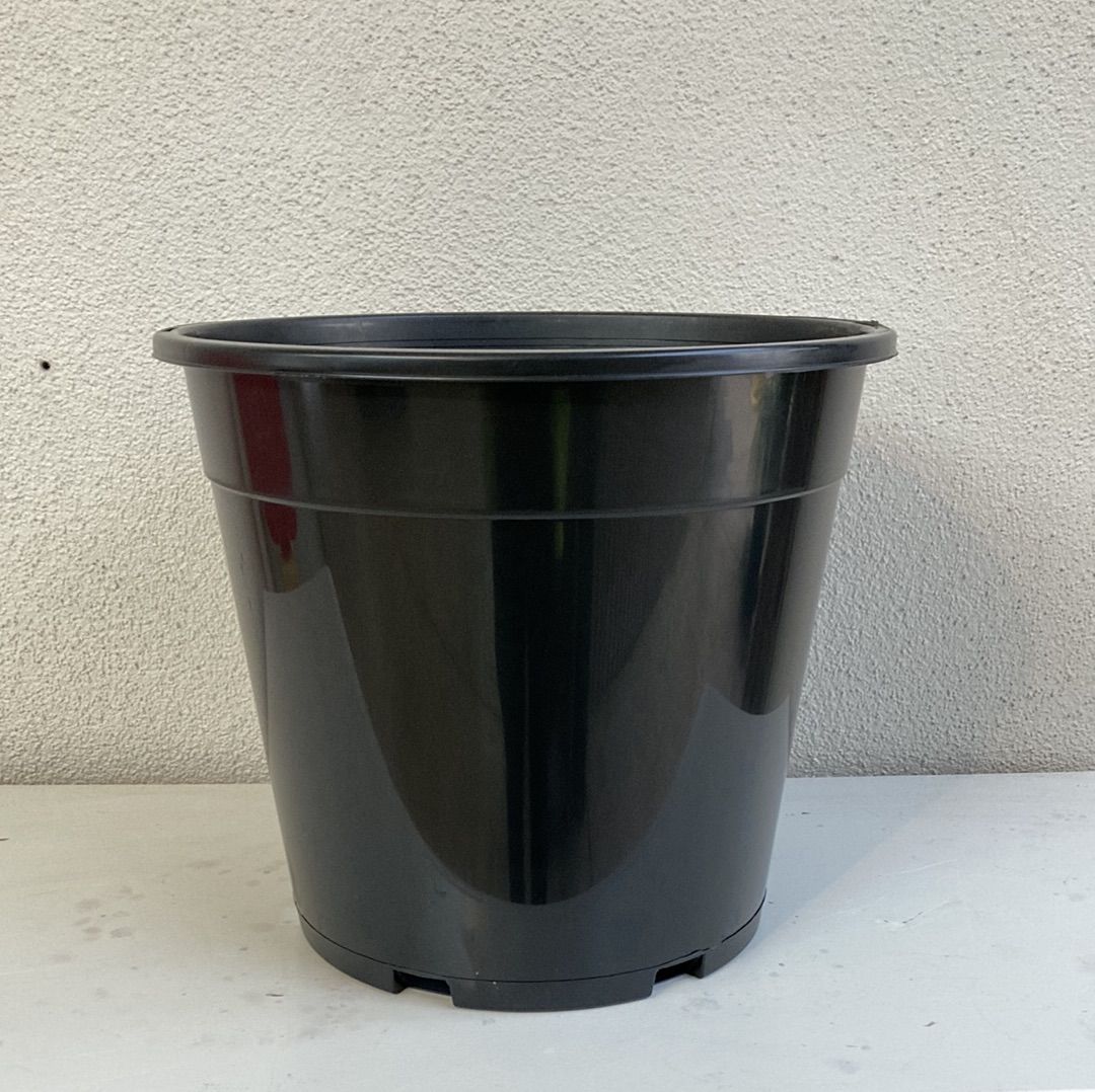 Black Pot 250mm