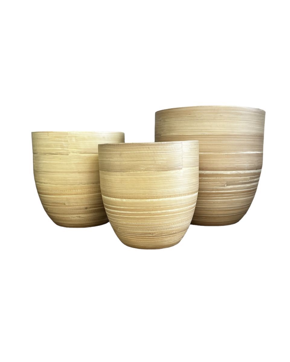 Bamboo Egg Natural Medium