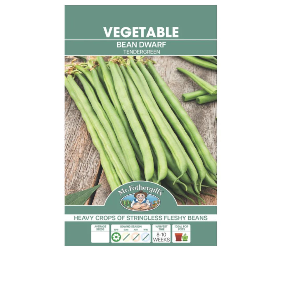 Bean Dwarf Tendergreen Seeds