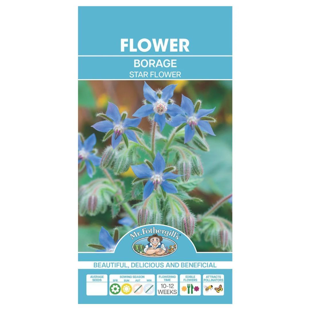Borage Seeds 100 Seeds