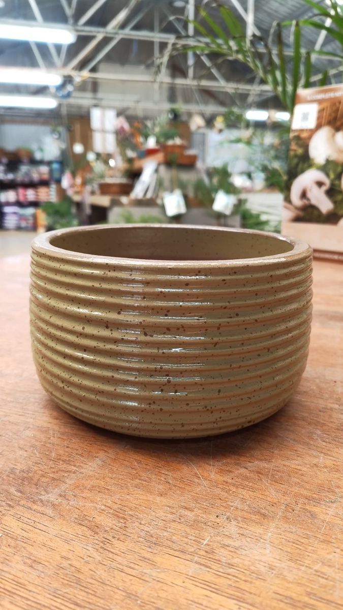 Auburn Bowl Cream - Medium