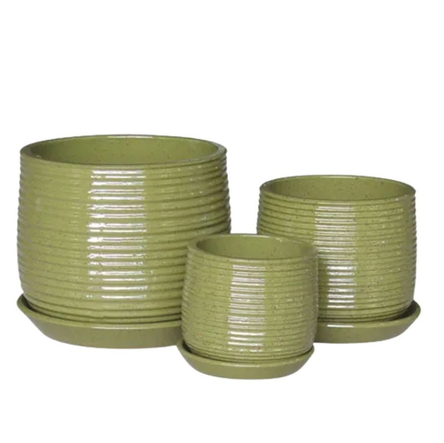 Auburn Tub Olive with Saucer - Large